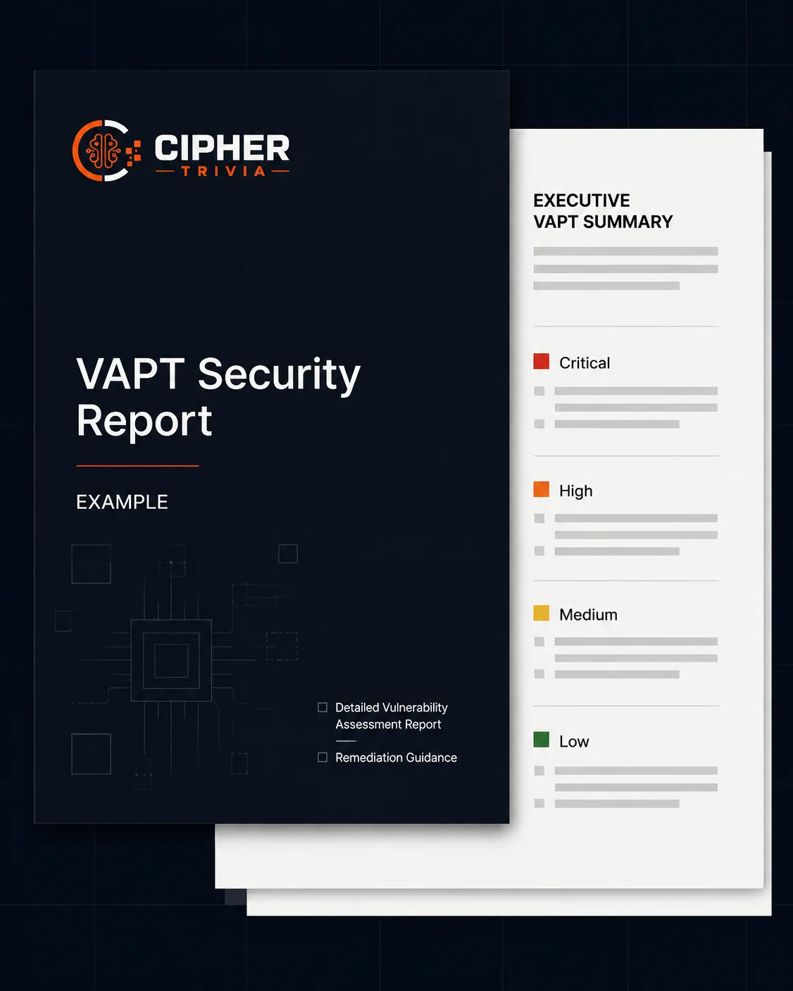 Example VAPT security report with an executive summary and findings grouped by severity: critical, high, medium and low